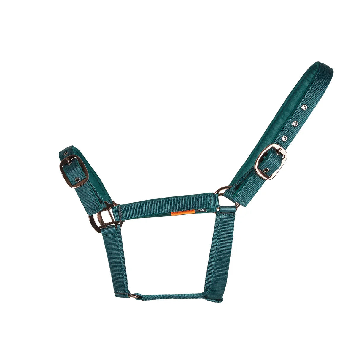 CAMEO Suede Padded Headcollar in EverGreen featuring signature Cacao bronze-tone anti-rust hardware. This technical equestrian headpiece is lined with ultra-soft, anti-rub micro-suede padding on the poll and noseband to prevent chafing for sensitive horses during stable use, turnout, or travel.