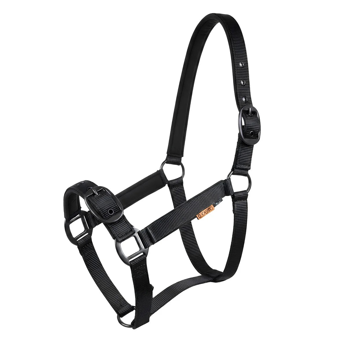 CAMEO Suede Padded Headcollar in Black shown on a white background, showcasing the dual-adjustable buckles, reinforced metal eyelets, matte black hardware, and soft micro-suede padding engineered for anti-rub comfort, nasal pressure relief, and dependable daily leading and horse turnout.