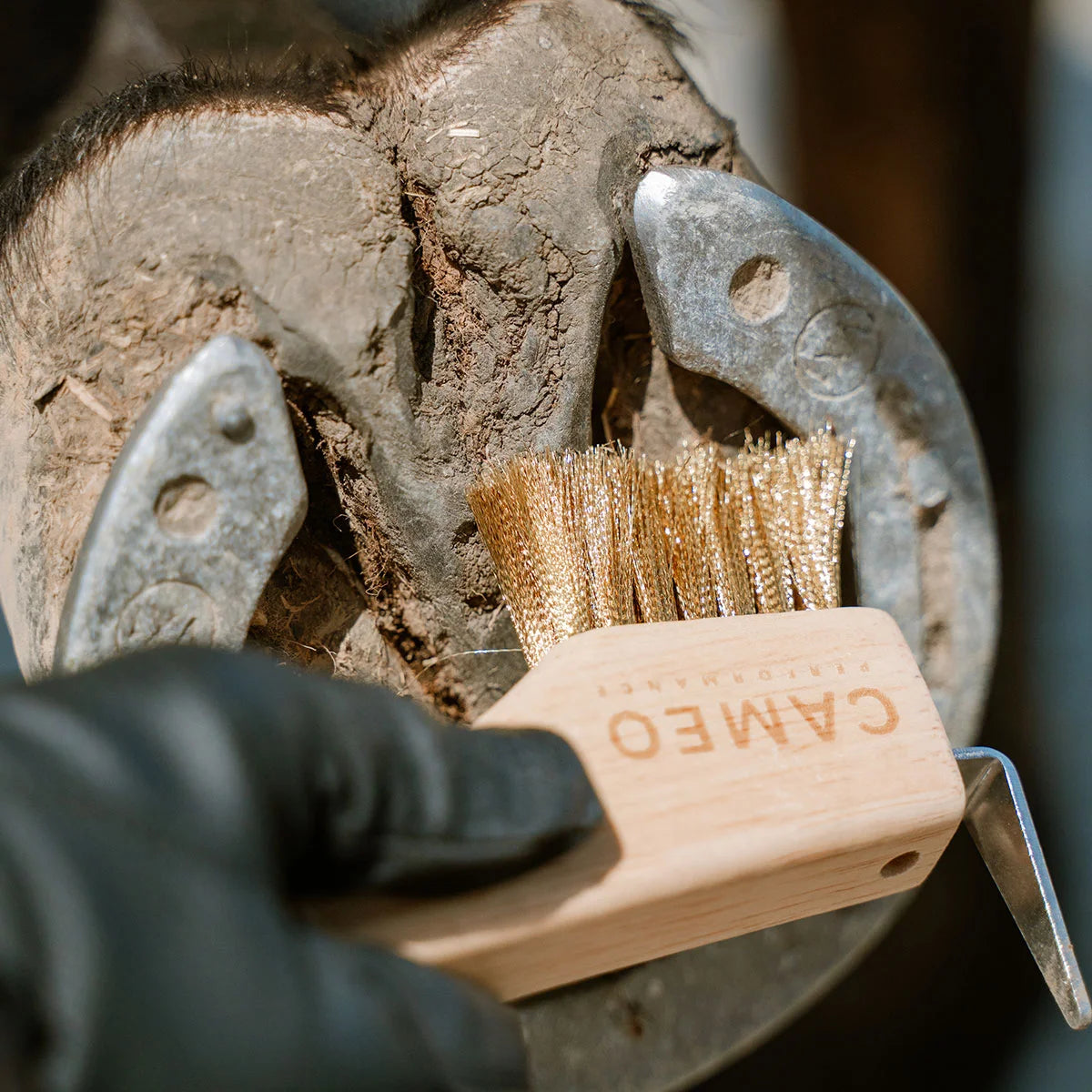CAMEO The Hoof Hero Elite Edition in Natural Wood in use scrubbing dirt and grit from around a shod horse hoof frog.
